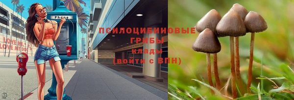 прущие крисы Михайлов