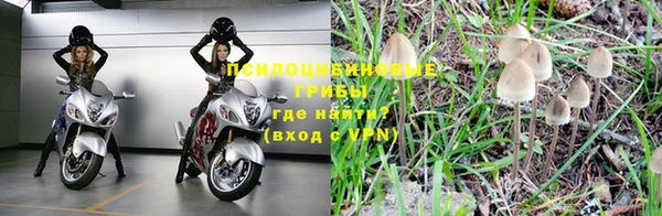 соль курить ск Надым