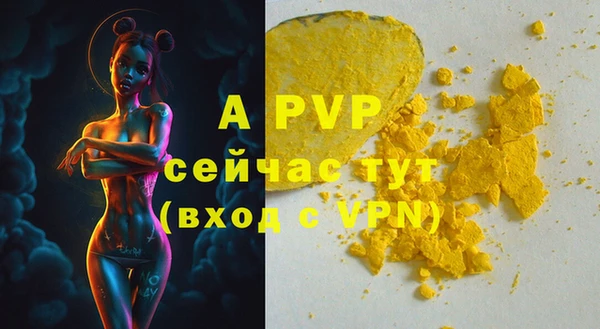 спиды Михайловск