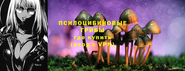 амф Медногорск