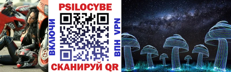 Псилоцибиновые грибы Psilocybine cubensis  кракен ССЫЛКА  Мамадыш 